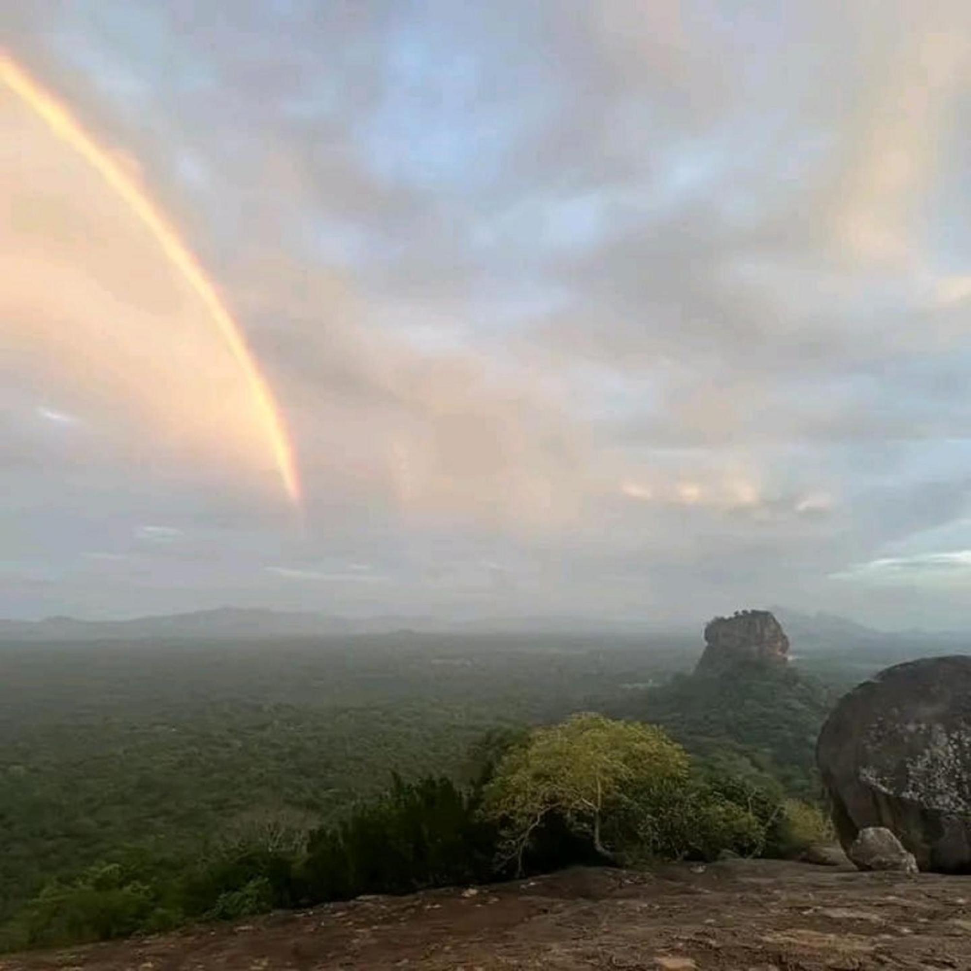 Sigiri Birds Hostel Sigiriya Ngoại thất bức ảnh