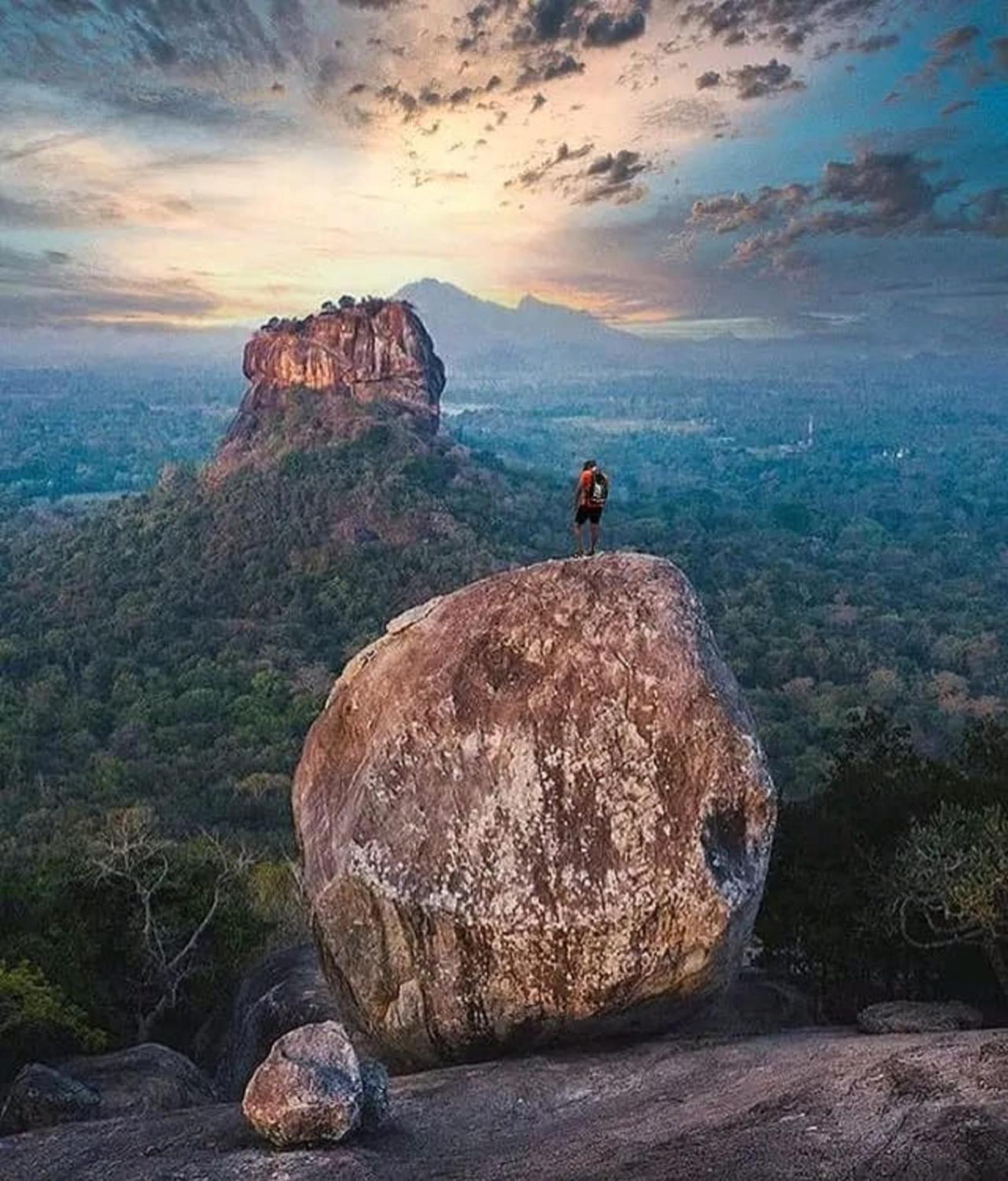 Sigiri Birds Hostel Sigiriya Ngoại thất bức ảnh