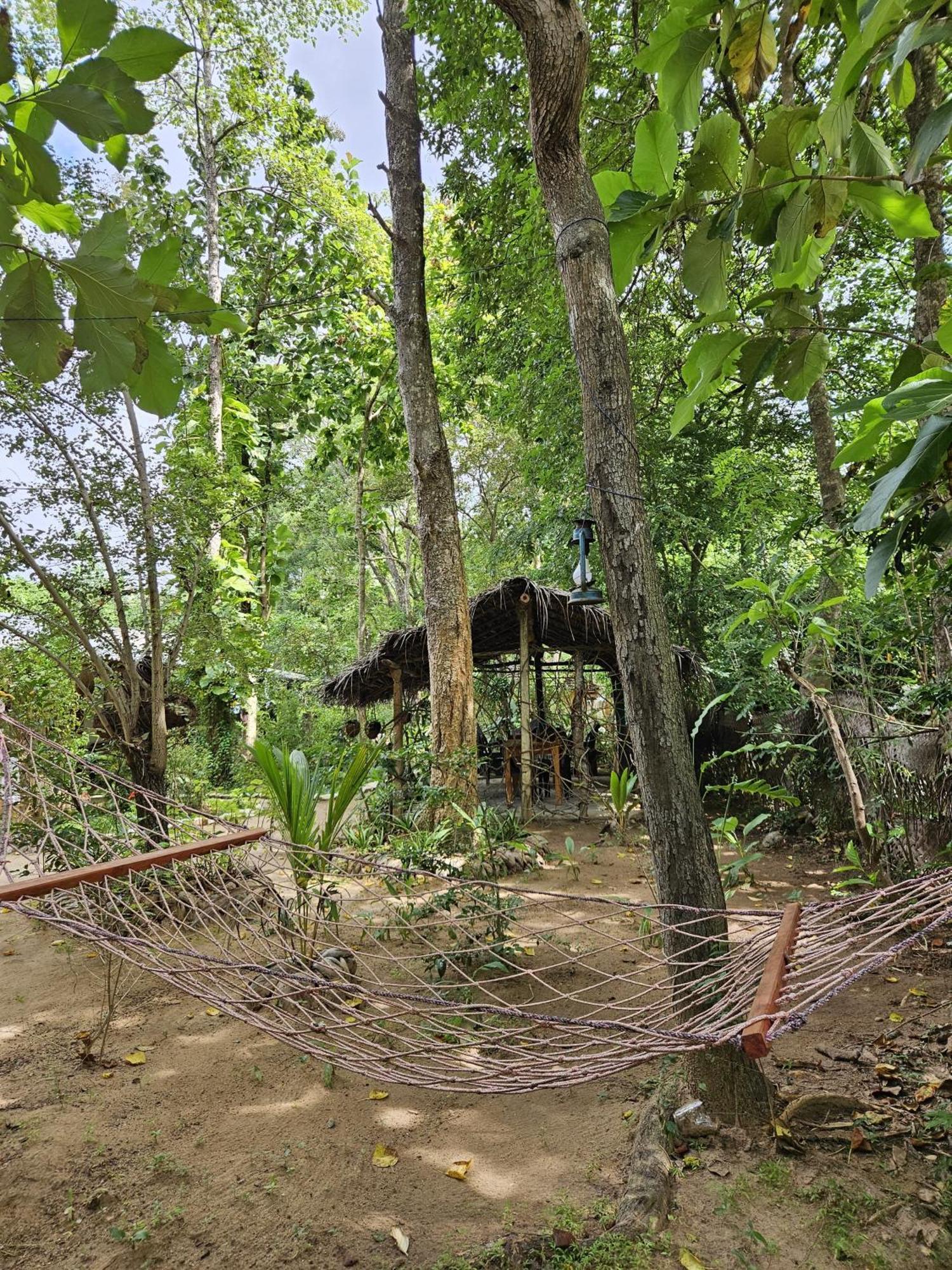 Sigiri Birds Hostel Sigiriya Ngoại thất bức ảnh