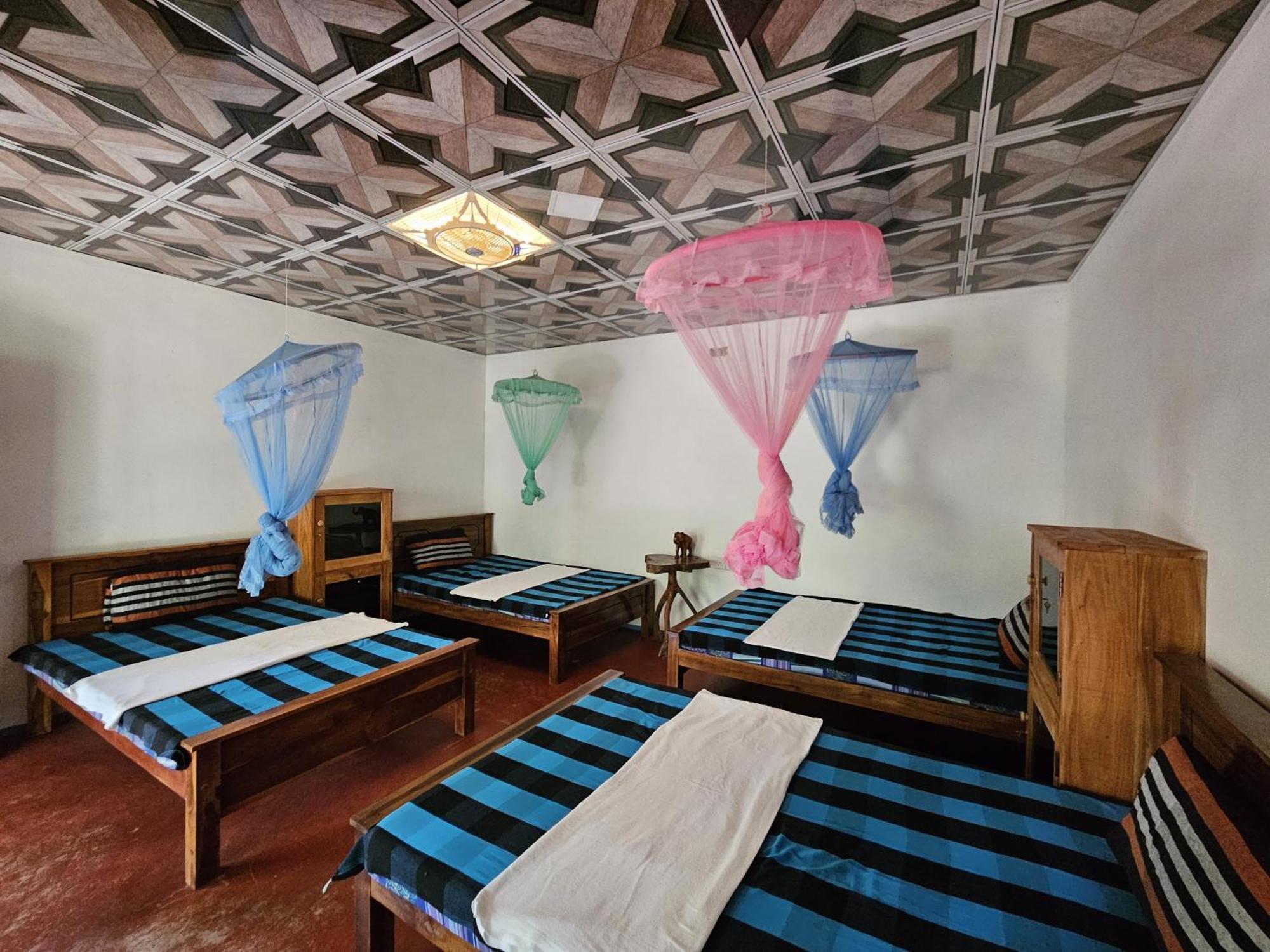 Sigiri Birds Hostel Sigiriya Ngoại thất bức ảnh